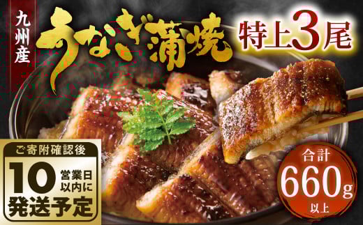 九州産 うなぎ 蒲焼 特上 3尾 計660g以上 (1尾あたり220～235g)
