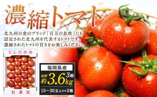福岡県北九州市若松区産 若松濃縮トマト 約3.6kg 【1.2kg箱（15玉～30玉入り）×3箱】