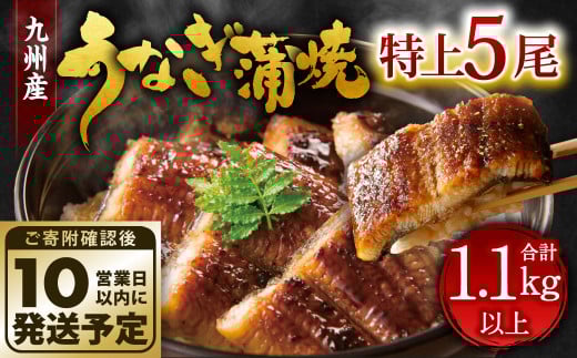 九州産 うなぎ 蒲焼 特上 5尾 計1.1kg以上 (1尾あたり220～235g)