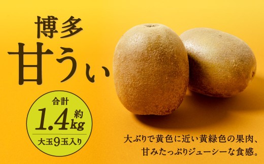 福岡県産 博多甘うぃ 約1.4kg（大玉9玉入り）
