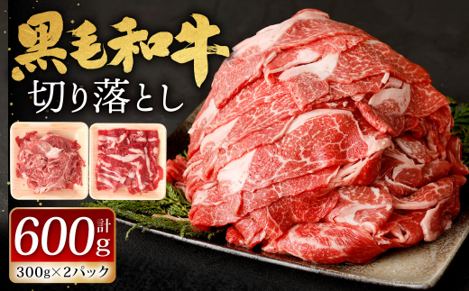 九州産 黒毛和牛 切り落とし 600g (300g×2パック)[2024年12月発送]お肉 牛肉 国産牛 和牛 冷凍 小分け