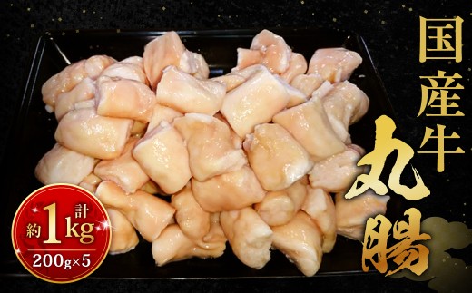 国産牛丸腸 約1kg（市立食肉センター直送）