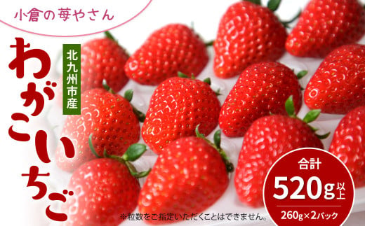 [2025年3月12日まで受付]小倉の苺やさん「わがこいちご」260g×2パック 合計520g以上[2025年1月上旬〜3月下旬発送予定]福岡県 いちご イチゴ 果物 旬 新鮮 朝摘み 完熟 フルーツ 冷蔵 国産 北九州市産