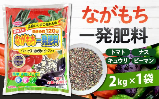 ながもち一発肥料 トマト・ナス・きゅうり・ピーマン用 2kg×1袋 肥料 園芸 ガーデニング 野菜 家庭菜園 とまと なす キュウリ ピーマン 植物 畑 福岡 北九州