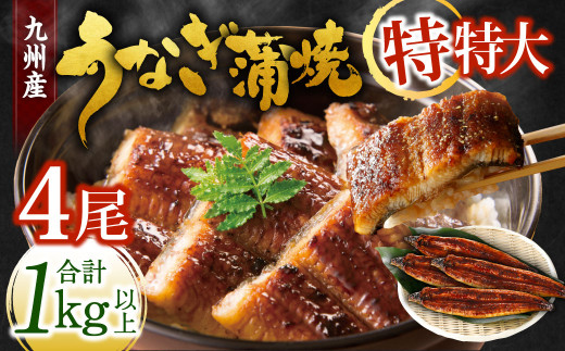 九州産 うなぎ蒲焼 特特大4尾 (1尾あたり250～266g)