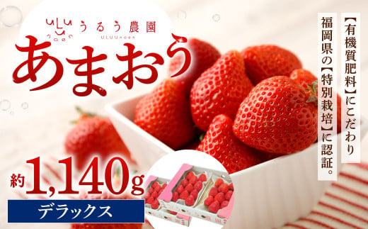 うるう農園 デラックス あまおう 4パック(約1140g)[2025年1月下旬〜2025年3月下旬順次発送予定]いちご イチゴ 苺 フルーツ 果物 福岡県産