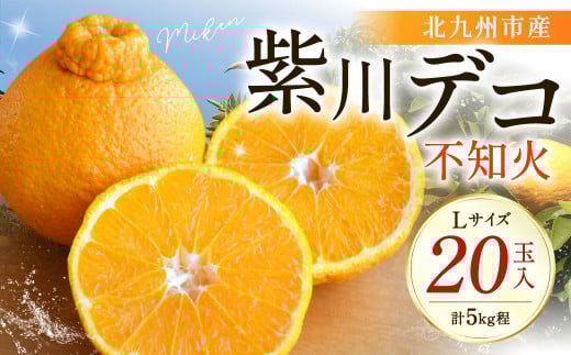 紫川デコ（不知火） Lサイズ 20玉入 計5kg程 フルーツキャップ付き