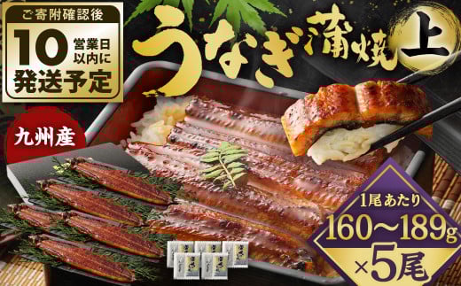 九州産 うなぎ 蒲焼 上 5尾 (1尾あたり160～189g)