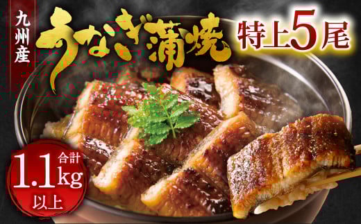 九州産 うなぎ 蒲焼 特上 5尾 計1.1kg以上 (1尾あたり220～235g)