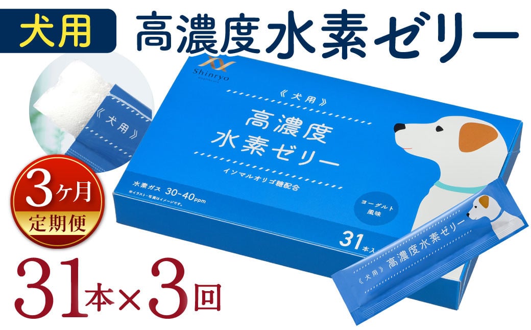 [3ヶ月定期便] 高濃度 水素ゼリー 犬用 31本入り × 3回 (1本5g) 水素 ゼリー ごはん おやつ 犬 愛犬 健康食品 サプリ ヨーグルト風味 持ち運び 携帯 ペット