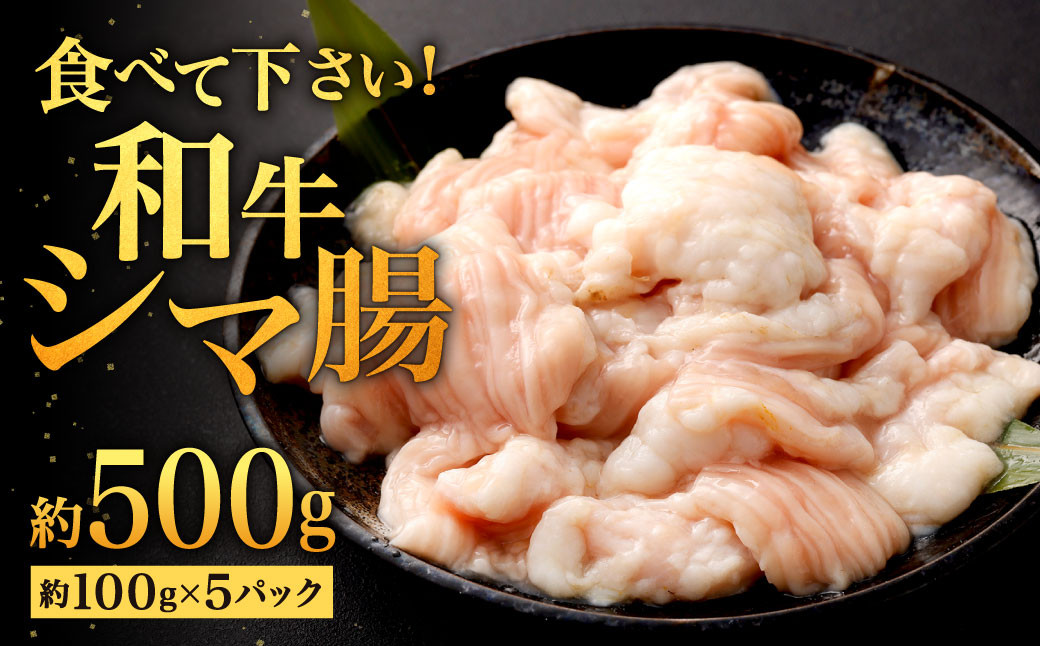 食べて下さい! 和牛のシマ腸 約500g (約100g×5パック)