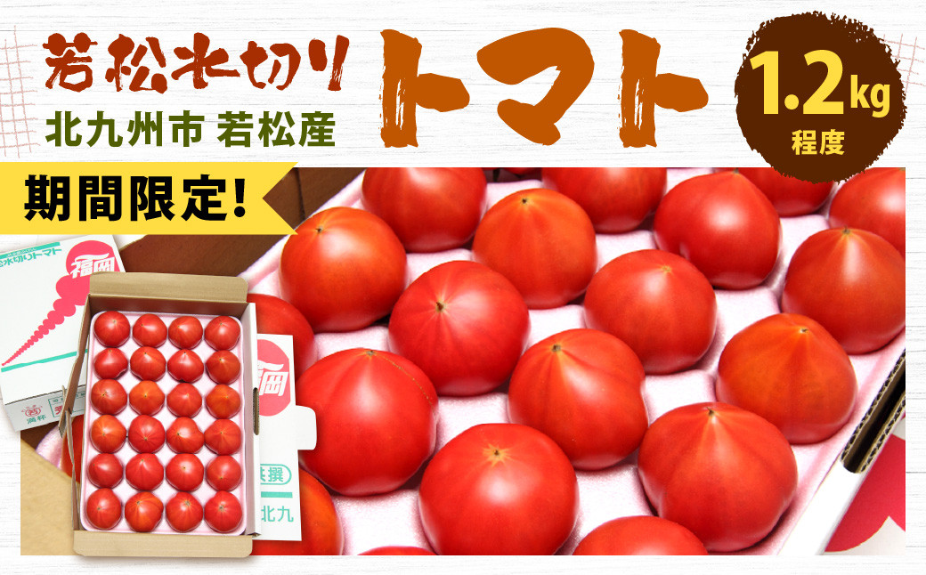 [期間限定] 若松 水切り トマト 1.2kg 程度 (16〜30玉) 糖度9度基準 野菜 生野菜 新鮮 国産