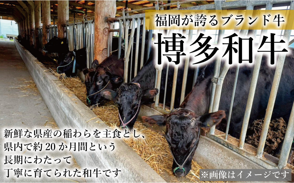 【セット】博多和牛A5ランク　プレミアムハンバーグギフトセット　150g×8個入り