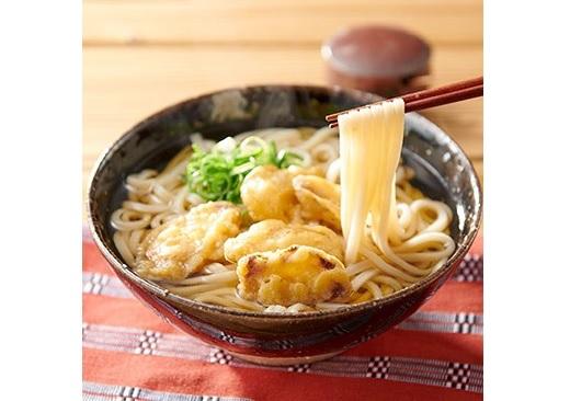 博多ごぼう天うどん　10食セット【一部離島配送不可】
