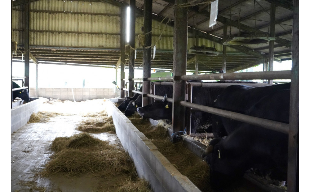 博多　嗣味　ほうさく和牛ローストビーフ味噌漬け　200g