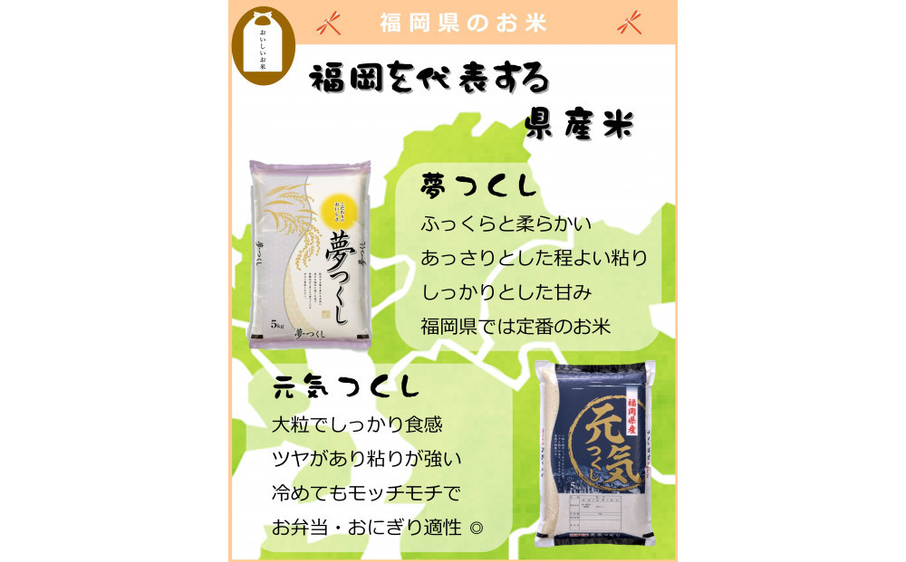 新米 福岡県産 夢つくし 5kg (5kg×1袋) (令和7年産)