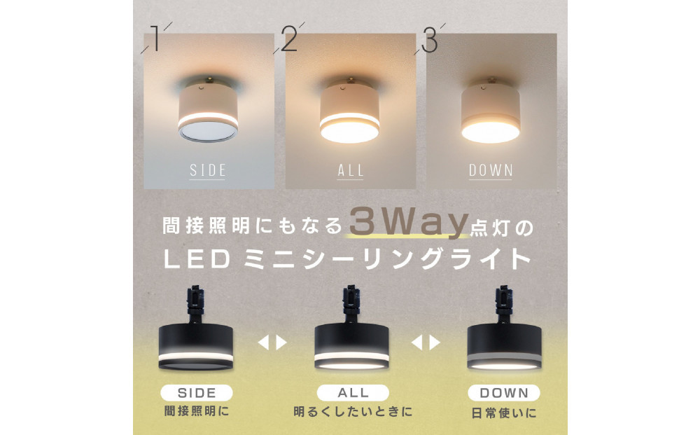 エジソンスマート TREO ミニシーリングライト アーム付き(ダクトレール用) 【ブラック】 福岡市