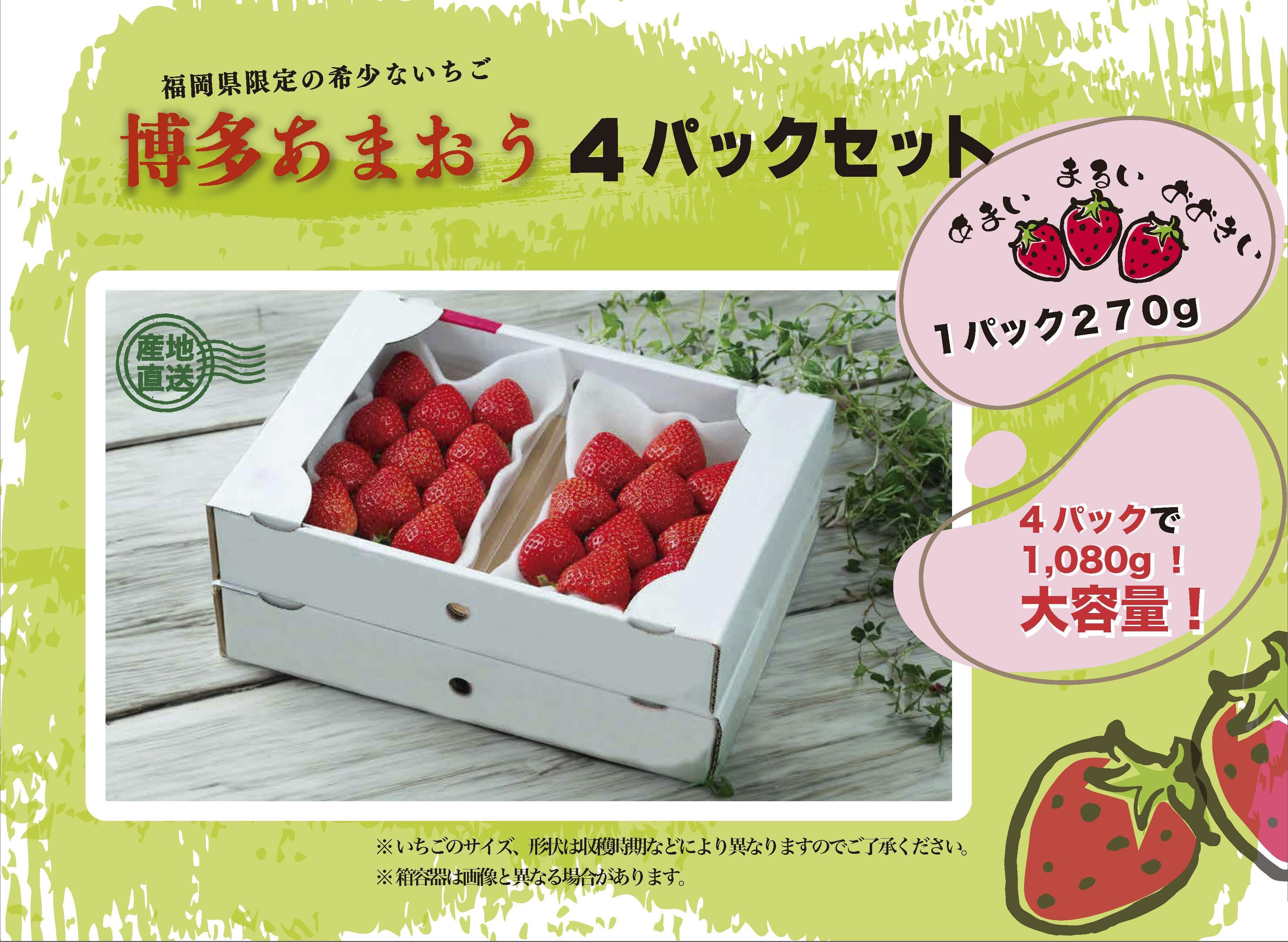 いちごの王様　福岡名産あまおう 約２７０ｇ×４パック　計約1,080g　＜２０２６年２月以降発送＞