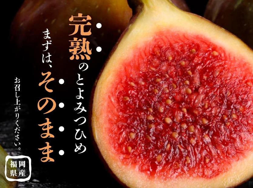 ＜2026年8月以降発送＞とよみつひめ　４パック約1200gセット（福岡市）