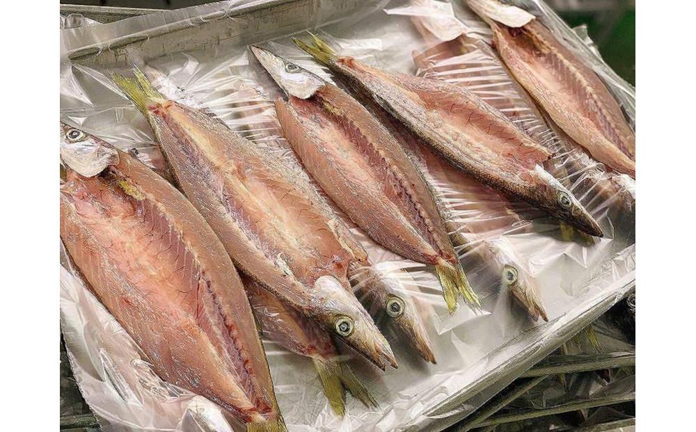 【全3回定期便】昔ながらの製法で作った干物詰合せ　全6種22枚×3回