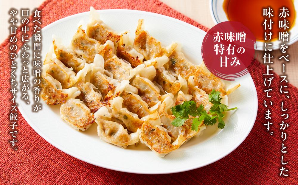 博多ひとくち餃子