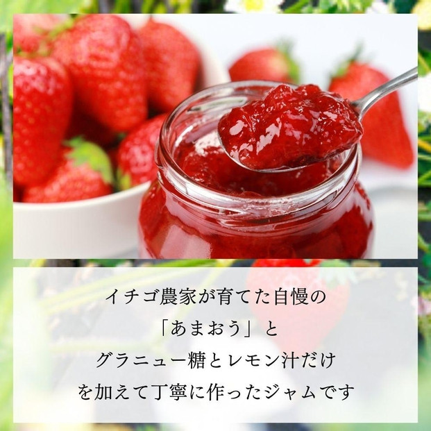 いちごジャム 無添加 あまおうとグラニュー糖のジャム 200g×3袋 手作り 国産 チューブ パウチ入り