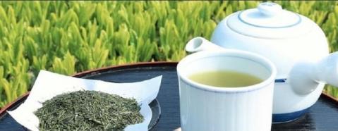 博多うまかお茶（輝）