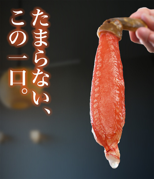 生ズワイガニ ポーション 太脚だけ 肩肉無し 500g 生食OK 超特大8-12本 ＜福岡市内製造＞