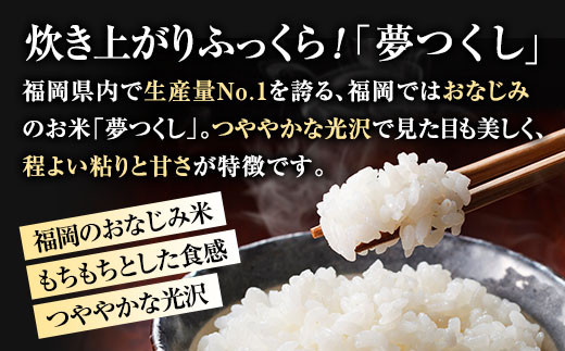 【夢つくし・元気つくし】福岡2大ブランド米　食べ比べセット　10kg