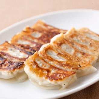 【餃子のテムジン】博多一口餃子