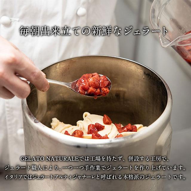 本場イタリア仕込みの本格オーガニックジェラート 10個【福岡市】