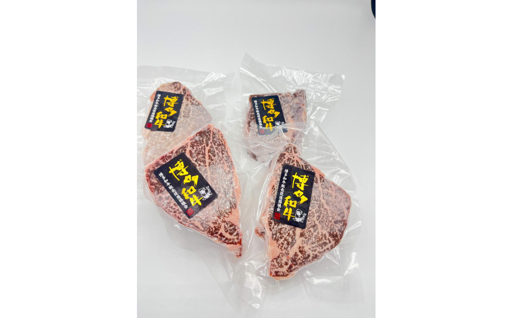 博多和牛シャトーブリアン　480g　