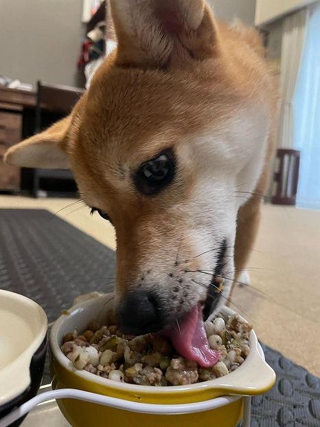 【福岡市】マンマミーア【冷凍】（お肉ベース170g）10袋＜犬用＞