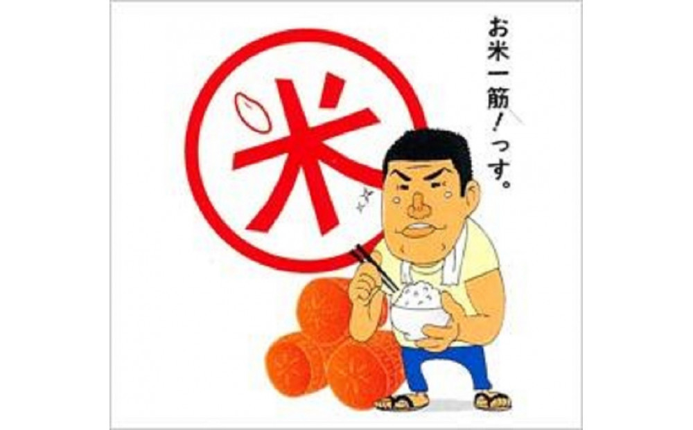 福岡限定のお米「めし丸　元気つくし」５kg×１袋　令和7年産