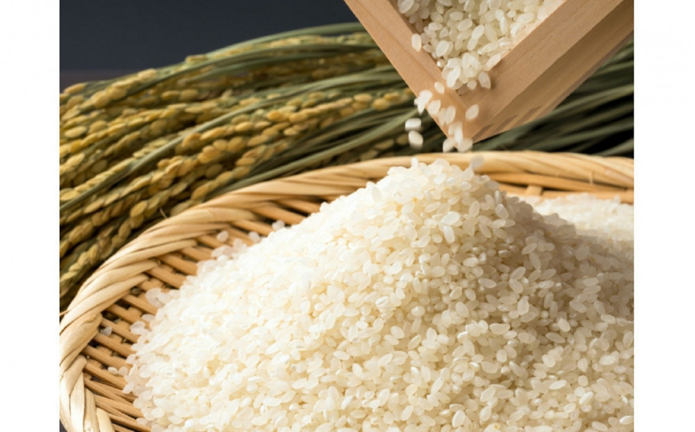 福岡限定のお米「めし丸　元気つくし」２kg×１袋　令和7年産