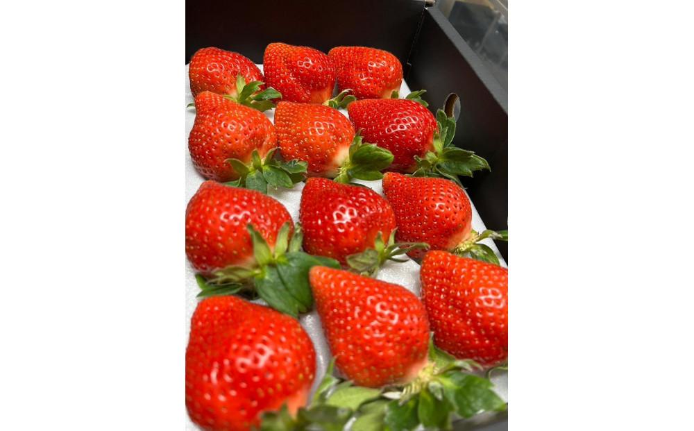 羽衣農園の完熟あまおうDX等級420g　９～15粒