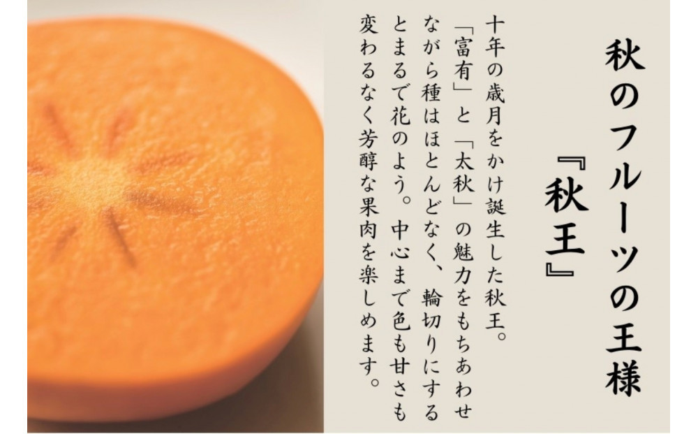 ＜2026年11月上旬から中旬 発送＞福岡県オリジナル品種【秋王】（柿）約3.5kg
