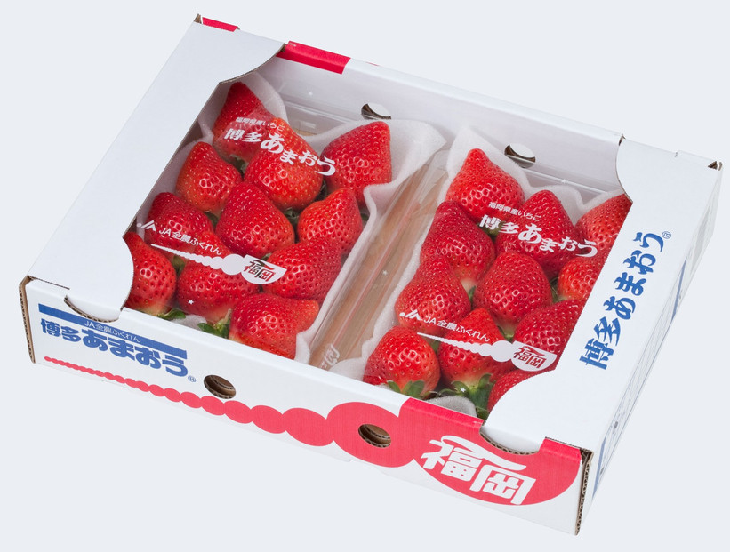 ＜2026年3月～4月発送＞博多あまおう約250ｇ×４