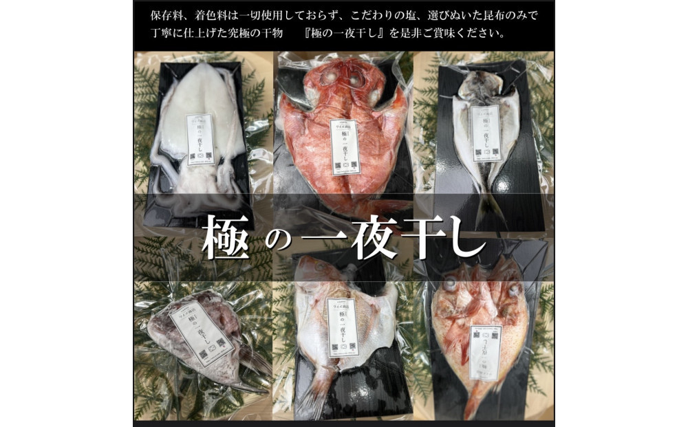 ワイズ商店の一夜干し旬魚４種とおすすめ商品詰め合わせBセット