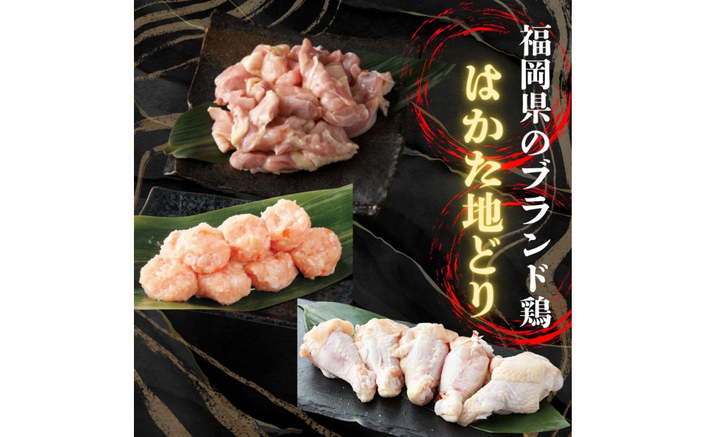 【福岡グルメ】はかた地どり使用博多水炊きセット7人～8人前