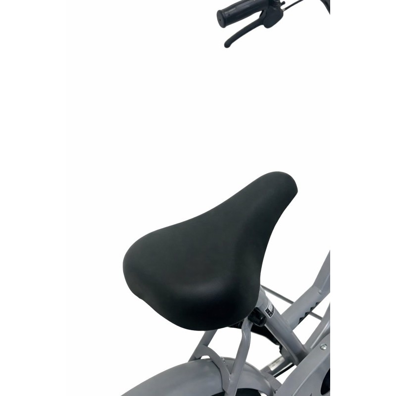 自転車 キッズサイクル 「WISLEY」 AEONBIKE 店頭引換券 【イオ