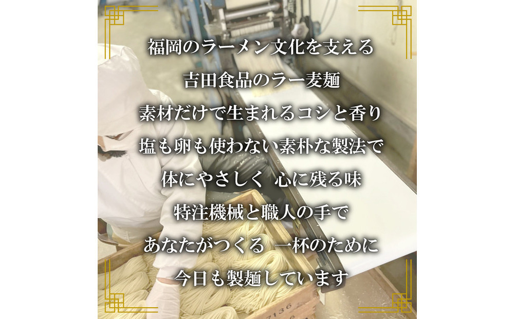 【福岡ラー麦・生麺使用】吉田食品の博多ラーメン6食セット（濃口とんこつ×6）