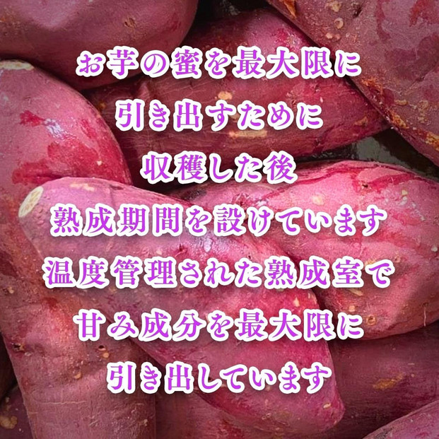 冷やし焼き芋１キロ（真空パック4〜6個入）【福岡市内製造】