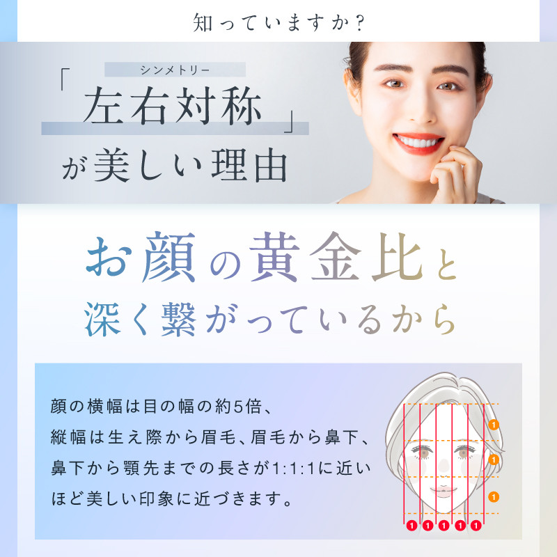 【福岡市】NIPLUX 美顔ローラー BEROLA