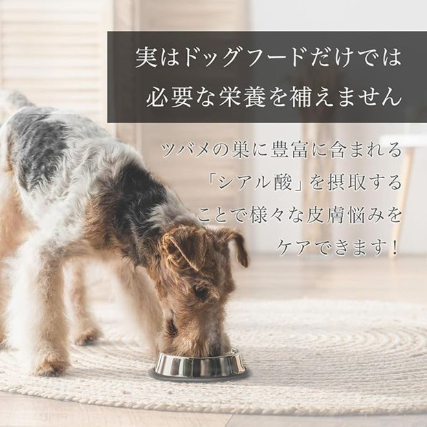 ミラネストゼリースティック FOR DOG 12g × 30本【福岡市】犬用