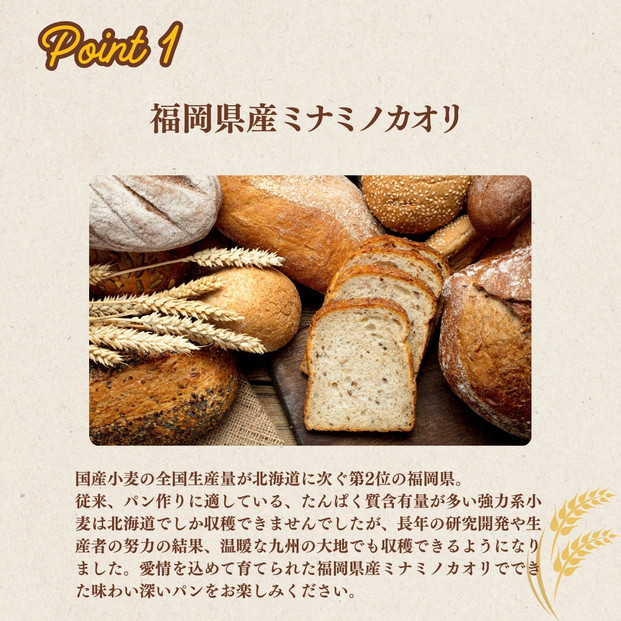 【福岡市内製造】あなたもパン屋さん！　福岡県産強力粉 1.2kg入×5袋セット（6kg）