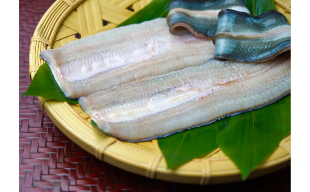 博多　嗣味　鰻の棒寿司　350g