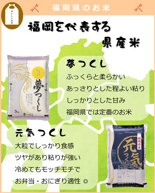 福岡県産 夢つくし10kg (5kg×2袋) (令和7年産)
