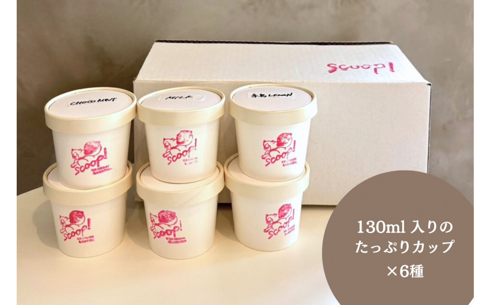 【福岡市】クラフトアイスクリーム6種詰め合わせ