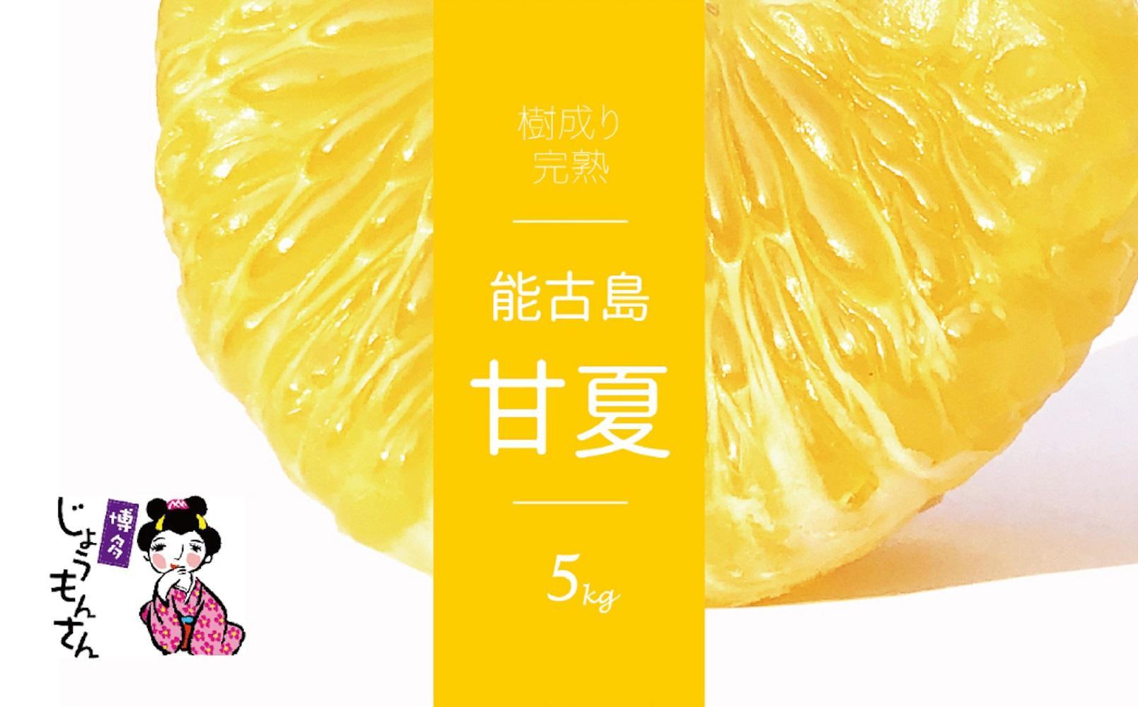 ＜先行受付：2026年4月以降発送＞福岡県　能古島産　甘夏5kg